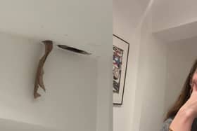 Rodents chew through Claire Johnson's ceiling above her bed during the night.