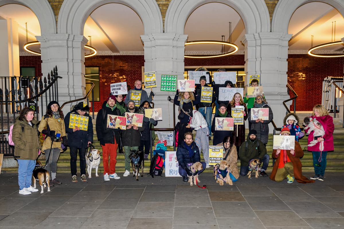 Tower Hamlets Riots Tower Hamlets: huge new rules including keeping dogs on leads would ...