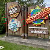 Chessington World of Adventures is planning changes