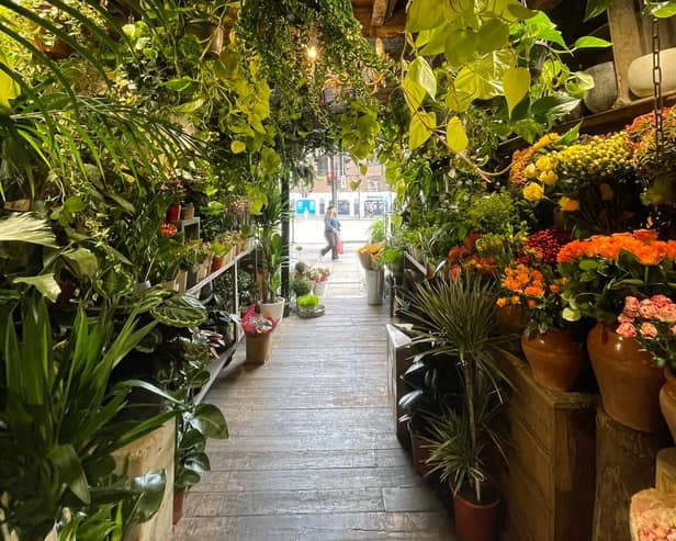Inside is like a jungle, with hanging plants and beautiful colourful flowers
