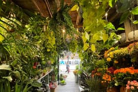 Inside is like a jungle, with hanging plants and beautiful colourful flowers