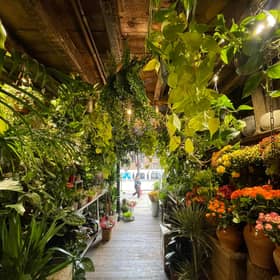 Inside is like a jungle, with hanging plants and beautiful colourful flowers