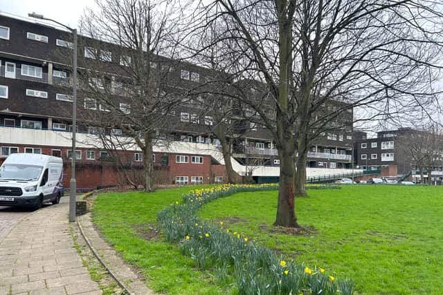 The height of the tallest building has been slashed to 14 storeys