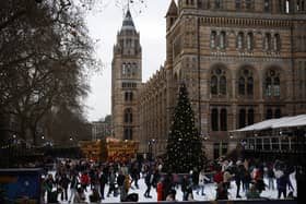 The Natural History Museum ice rink was a popular festive event