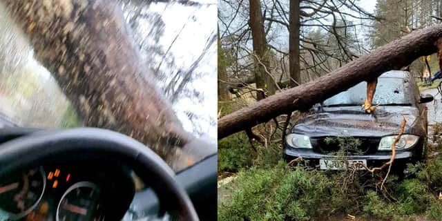 Huge tree trunk crashes down on driver’s windscreen.