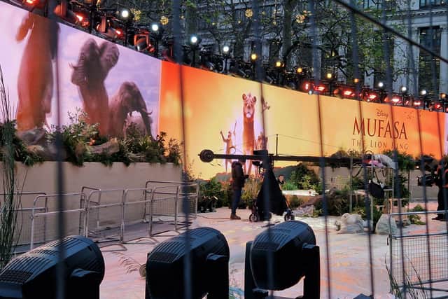 A sneak peek at the Mufasa premiere carpet