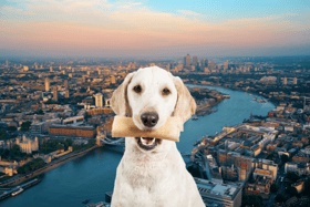 Take our quiz to find out how well you know your Cockney rhyming slang