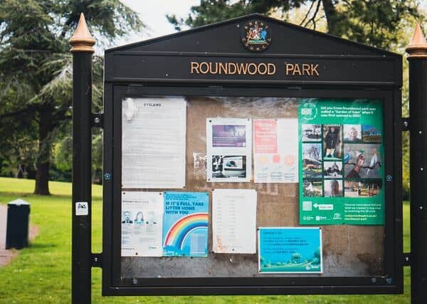 More plants, trees, and seating will be introduced in Roundwood Park