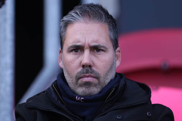 QPR head coach Marti Cifuentes.