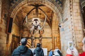 The Natural History Museum is one of our favourite free spots in London