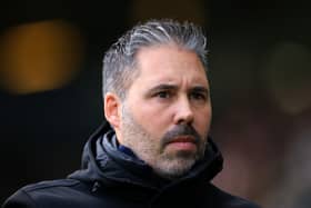 QPR head coach Marti Cifuentes.