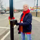 Dee Riley has been successful in her campaign to get new traffic lights installed at Greenford Road Junction, in Ealing