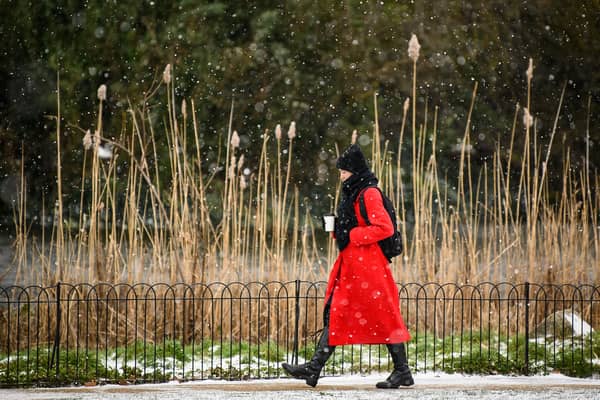 Blow off the Christmas cobwebs with a New Year's Day walk through St James' Park in London