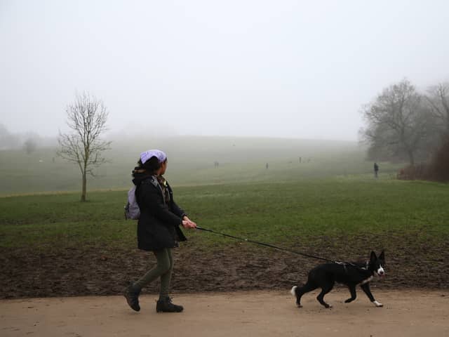 London has been named one of the best places for a hike in England 