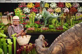 Chelsea Flower Show is a must-visit event in London