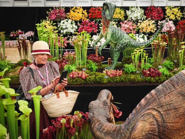Chelsea Flower Show is a must-visit event in London
