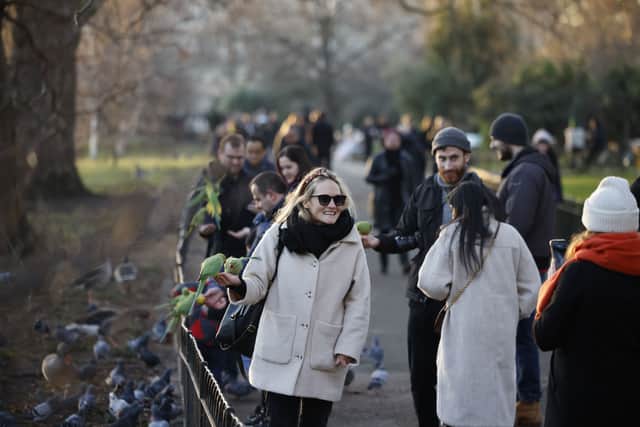 A woman poses with parakeets in St James' Park in London