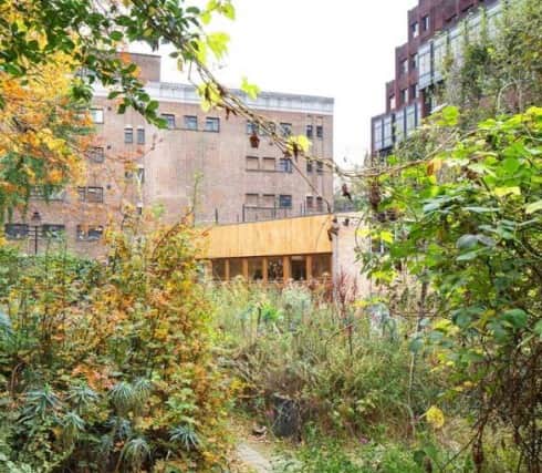 The open space at The Grange roundabout is designated as a Site of Importance for Nature Conservation (SINC)