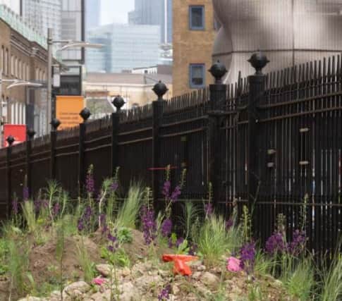 The council has identified a number of small areas throughout the site where small stands or pockets of trees could be planted