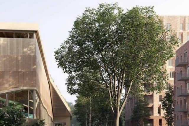 Around the grounds a new skate park, playground, BMX track, and bridge over the River Brent will be built.