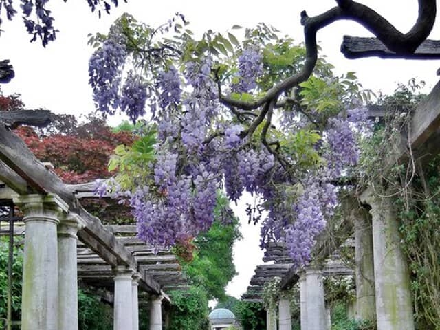 These are the most romantic places to propose in London