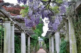 These are the most romantic places to propose in London