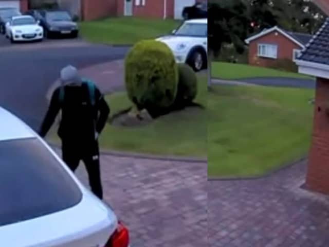 Burglar tries to knock on homeowner's front door.
