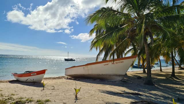 You might opt for a holiday on a tropical island