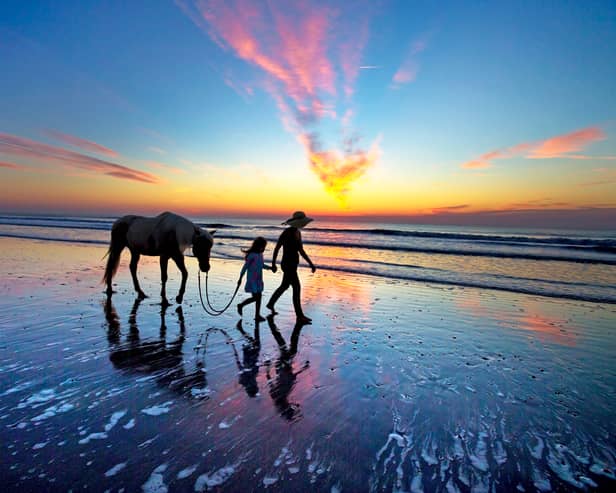 Amelia Island in Florida has 13 miles of picturesque and pristine beaches