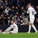 It's been a season blighted by injuries for Tottenham Hotspur.