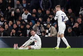 It's been a season blighted by injuries for Tottenham Hotspur.