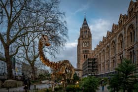 The Natural History Museum will be open late on Valentine's Day 