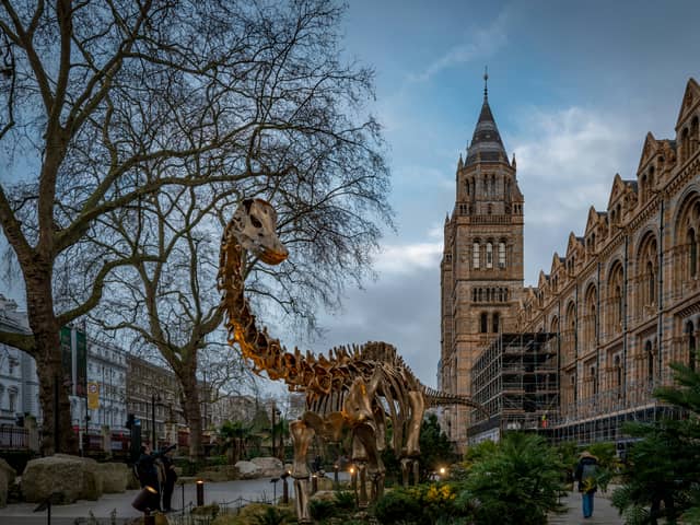 The Natural History Museum will be open late on Valentine's Day 