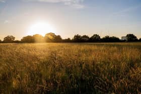 There are big plans for Tolworth Court Farm Fields