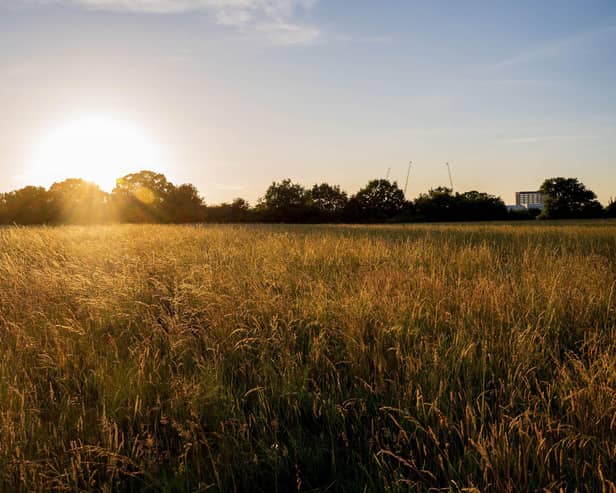 There are big plans for Tolworth Court Farm Fields
