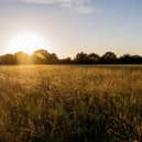 There are big plans for Tolworth Court Farm Fields