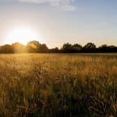There are big plans for Tolworth Court Farm Fields