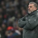 Tottenham Hotspur manager Ange Postecoglou.
