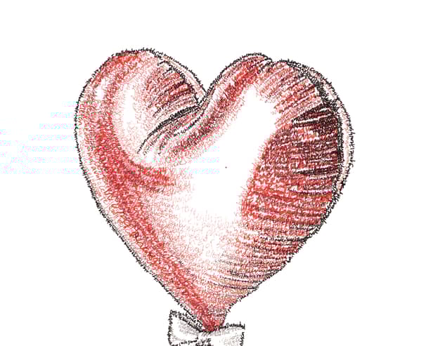 The design was lovingly crafted in partnership with internationally renowned micrography artist, Jayce Hall