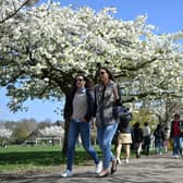 The first signs of Spring are heading for London this week! 
