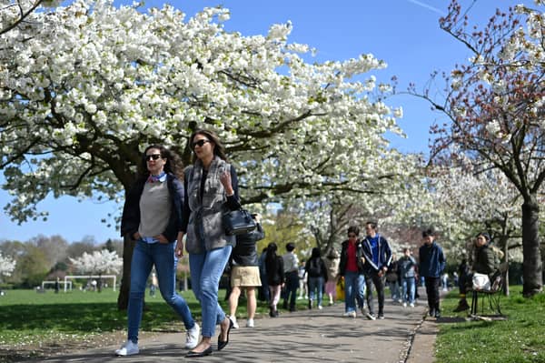 The first signs of Spring are heading for London this week! 