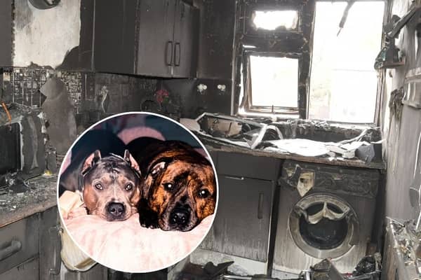 Couple and their dogs killed in horrifying e-bike battery fire at home