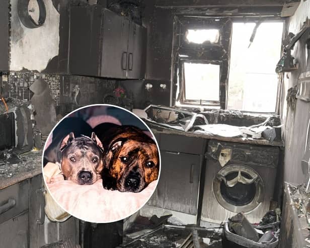 Couple and their dogs killed in horrifying e-bike battery fire at home