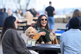 Women in London say their dogs are more dependable than their man 