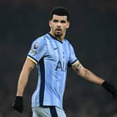 Dominic Solanke has been missing through injury in recent weeks