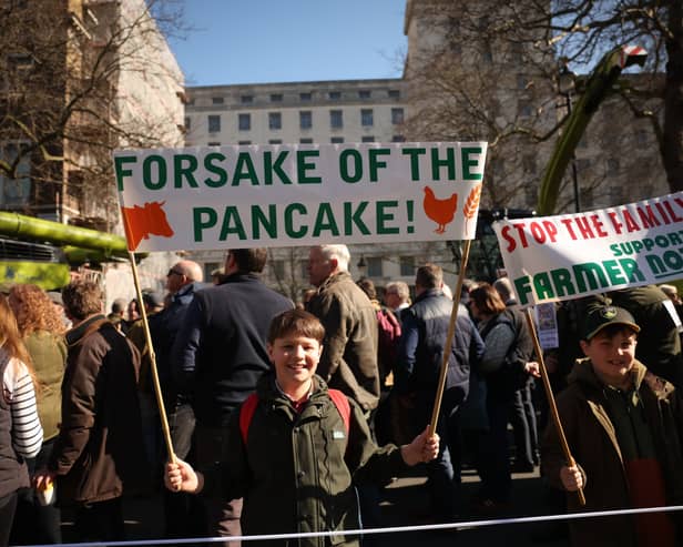 A boy holds up a sign saying 'Forsake of the pancake!' as he takes part in a farmer's protest over the changes to inheritance tax