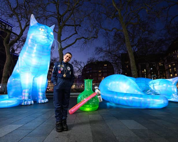 Giant cats have taken over the West End 