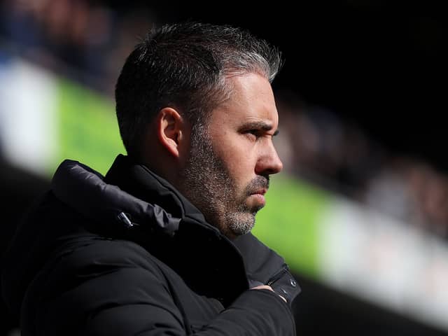 QPR head coach Marti Cifuentes.