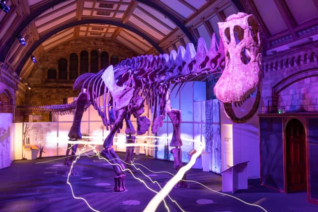 Visit London's Natural History Museum this Easter