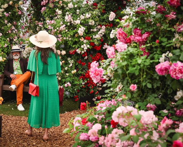 Chelsea Flower Show is one of London's best-loved spring attractions 